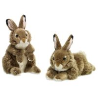 Toys >  Soft Toys