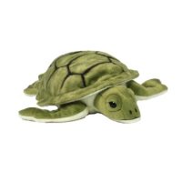 Toys >  Soft Toys