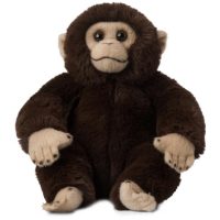Toys >  Soft Toys