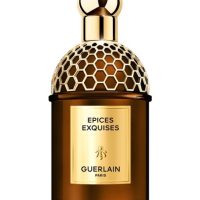 Fragrance >  Women Fragrances >  Fragrance For Women