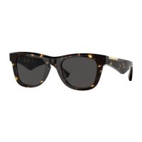 Accessories >  Sunglasses >  Mens Sunglasses