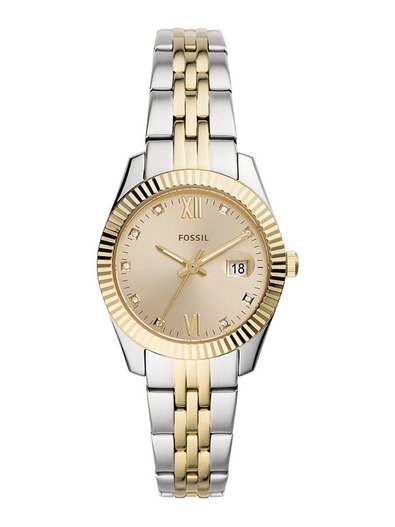 Accessories > Watches > Ladies Watches