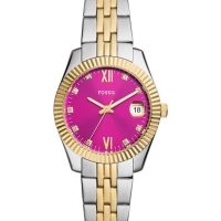 Accessories > Watches > Ladies Watches