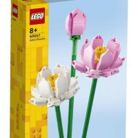 Toys >  Building Blocks & Games >  Building Blocks