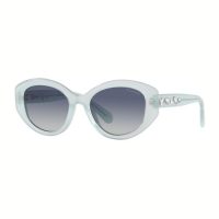 Accessories >  Sunglasses >  Womens Sunglasses