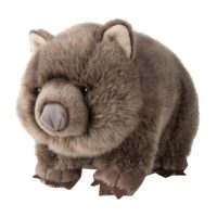 Toys >  Soft Toys