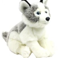 Toys >  Soft Toys