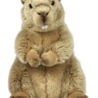 Toys >  Soft Toys