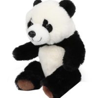 Toys >  Soft Toys