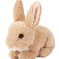 Toys >  Soft Toys