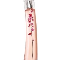 Fragrance >  Women Fragrances >  Fragrance For Women