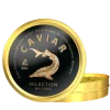 Black Sturgeon Caviar,  500g