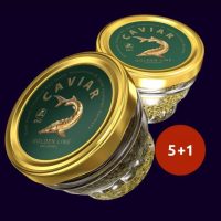 sturgeon caviar