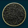 Sevruga Caviar