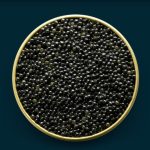 Sevruga Caviar