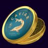 Sturgeon Caviar (SILVER LINE)